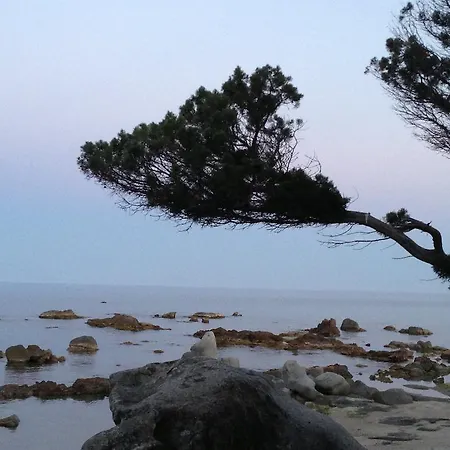 Guest house La Tortorella &